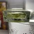 Van Cleef & Arpels Collection Extraordinaire California Reverie
