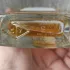 Van Cleef & Arpels Collection Extraordinaire Bois d`Iris
