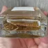 Van Cleef & Arpels Collection Extraordinaire Precious Oud