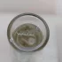 Van Cleef & Arpels Collection Extraordinaire Moonlight Patchouli pic-81329