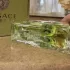 Versace Versense pic-155922