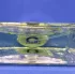 Versace Versense pic-26244