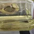 Versace Yellow Diamond Intense