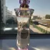 Versace Woman pic-79292