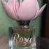 Blumarine Rosa