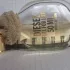 Diesel Fuel For Life Femme pic-116385