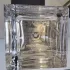 Lalique L`Amour