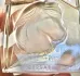 Lalique Equus pic-178368