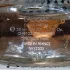 Lalique Satine