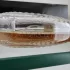 Lalique Satine
