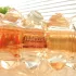 Lalique Soleil