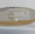 Lalique Satine