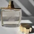 Lalique Equus