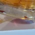 Lalique Mon Premier Cristal Lumiere