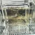 Lalique L`Amour pic-358375