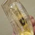 Lalique Pour Homme Lion pic-391076