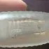 Lalique Satine