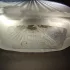 Lalique Satine