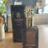 Roberto Cavalli Uomo Parfum