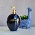 Roberto Cavalli Nero Assoluto pic-55431