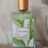 Les Essentiels The Vert