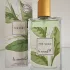 Les Essentiels The Vert