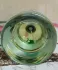 Miller et Bertaux L`eau de parfum #3 Green, green and green pic-115798