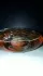 Ted Lapidus Creation 2011 pic-125652