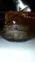 Ted Lapidus Creation 2011 pic-125657