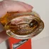 Paloma Picasso Paloma Picasso Eau de Toilette pic-27054