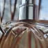 Thierry Mugler Angel Muse pic-123406