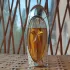 Thierry Mugler Angel Muse pic-123413