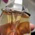 Thierry Mugler Alien Eau Extraordinaire pic-175788