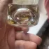 Thierry Mugler Alien Eau Extraordinaire