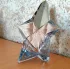 Thierry Mugler Angel pic-347163