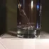 Thierry Mugler Womanity pic-395298