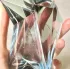 Thierry Mugler Angel