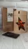 Thierry Mugler A*Men Pure Wood pic-69752