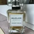 Thierry Mugler Les Exceptions Fougere Furieuse
