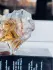 Thierry Mugler Angel Garden of Stars Le Lys pic-9124