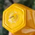 Xerjoff Erba Gold pic-398413