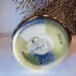 Montale Herbal Aquatica