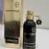 Montale Arabians Tonka