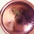 Montale Roses Musk Intense pic-26462