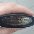 Tom Ford Black Orchid