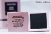 Tom Ford Rose Prick pic-83664