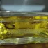 Escentric Molecules Escentric 01 pic-134707