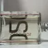 Escentric Molecules Escentric 02 pic-151682