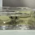 Escentric Molecules Escentric 02 pic-151683