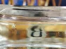 Escentric Molecules Molecule 01 pic-235405